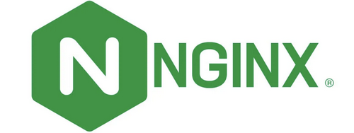 Logo do Nginx